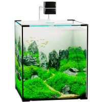 Аквариум Биодизайн Q-Scape 30, 30 л, 31x31x35 см, черный