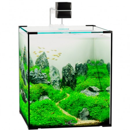 Аквариум Биодизайн Q-Scape 30, 30 л, 31x31x35 см, черный