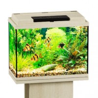 Аквариум Биодизайн Классик 20 прямоугольный, 22 л, 40x22x33 см, белёный дуб