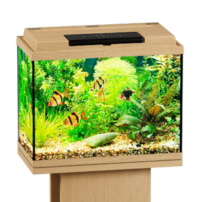 Аквариум Биодизайн Классик 20 прямоугольный, 22 л, 40x22x33 см, бук