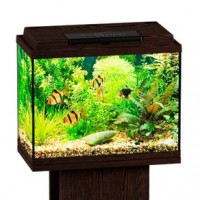 Аквариум Биодизайн Классик 20 прямоугольный, 22 л, 40x22x33 см, венге