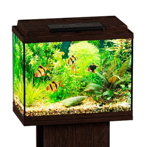 Аквариум Биодизайн Классик 20 прямоугольный, 22 л, 40x22x33 см, венге