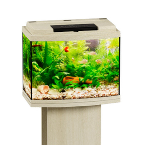 Аквариум Биодизайн Классик 20R панорамный, 21 л, 40x22x33 см, белёный дуб