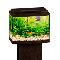 Аквариум Биодизайн Классик 20R панорамный, 21 л, 40x22x33 см, венге