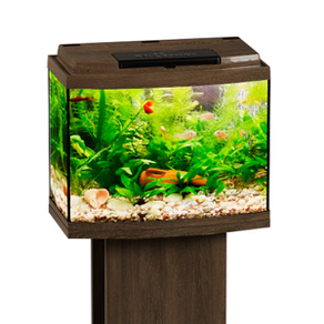 Аквариум Биодизайн Классик 20R панорамный, 21 л, 40x22x33 см, золотой орех