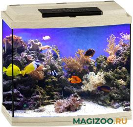 Аквариум Биодизайн Классик 40R панорамный, 38 л, 45x25x42 см, белёный дуб