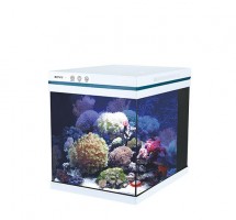 Аквариум море/пресный 76 л с LED светильником 20W и фильтром 16W, 1000 л/ч, WiFi прогр. осв.