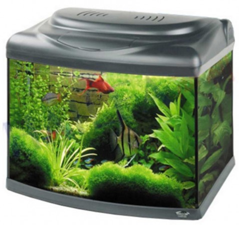 Аквариум 105 л с гнутым передн. стеклом, фильтр , 70,5x46,5x55 см, титан